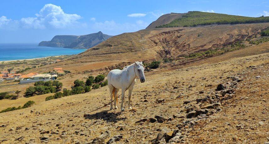 O que fazer no Porto Santo